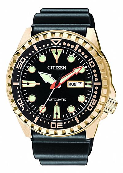 CITIZEN Eco-Drive Divers Automatic Stainless Steel NH8383-17E